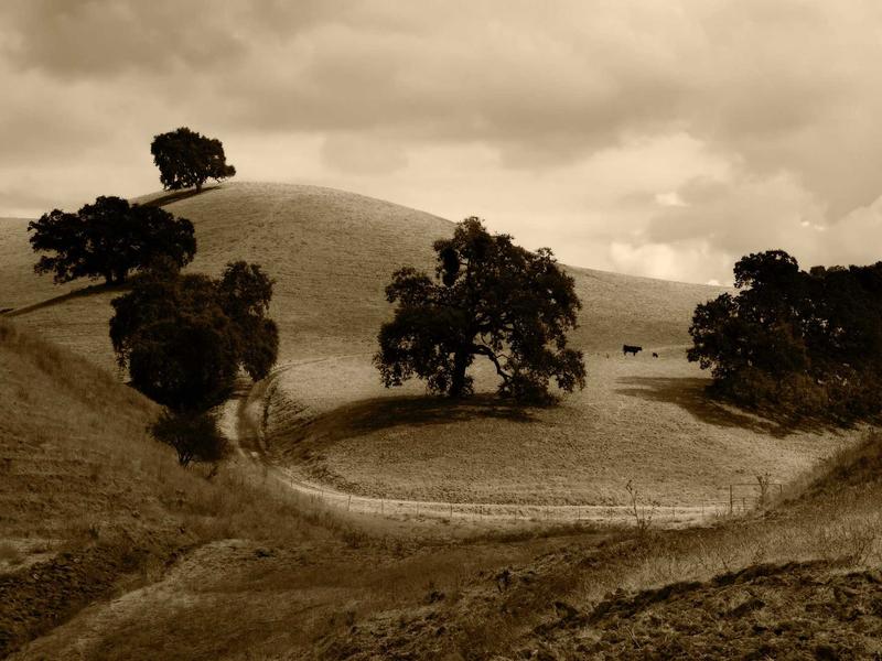 sudoku pattern learning screenshot 1