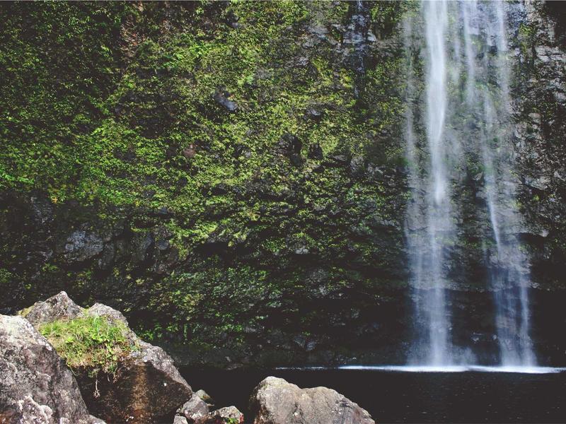 sudoku seasonal puzzle screenshot 2